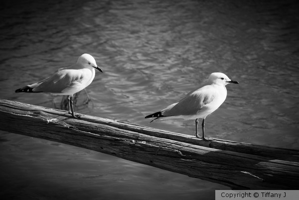 Time out
