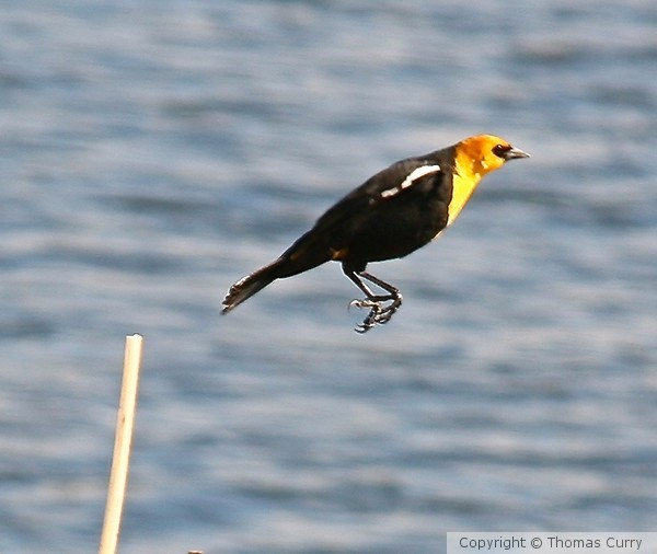 JUMP!