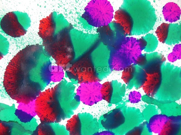 DSCN1652