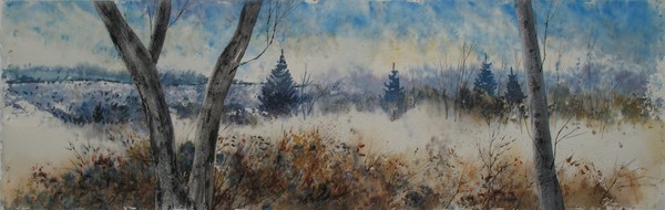 Beyond The Edge of the Woods