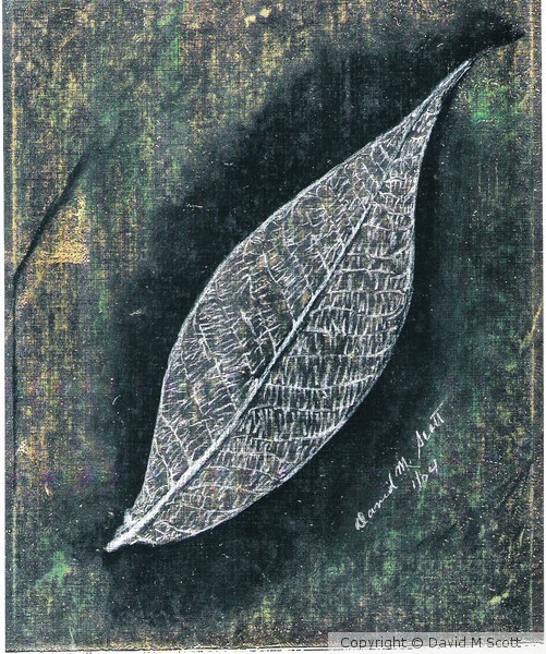 leaf in its skeletal state on Gold silver and copp