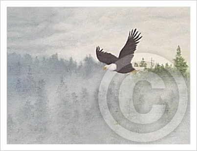 eagle