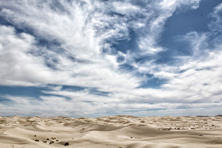 Samalayuca Dune Fields