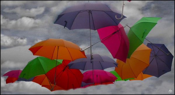 Raining Umbrellas