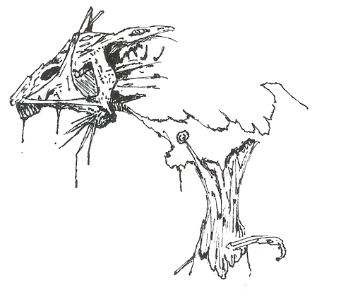 sketch