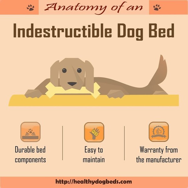 Healthy Dog Beds