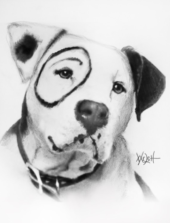 PETE THE PUP
