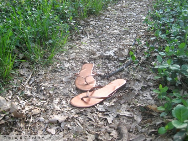 Flip Flops in Riversde