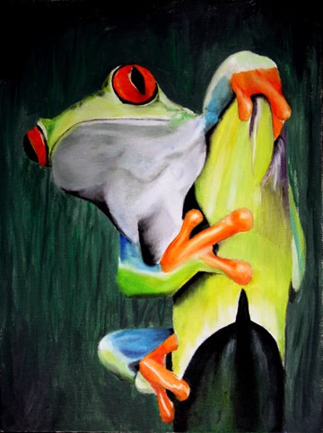 Red Eyed Tree Frog