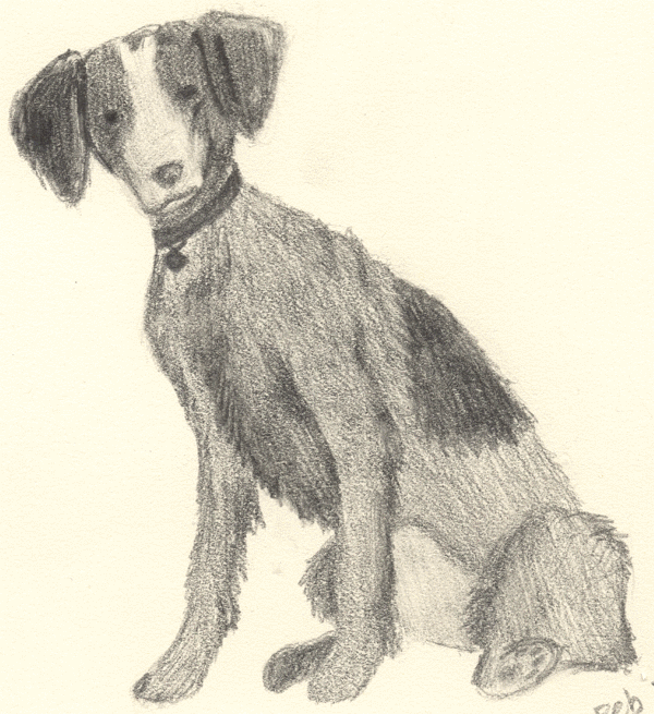Brittany Spaniel