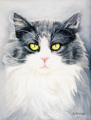 Cat/Kitty Portrait