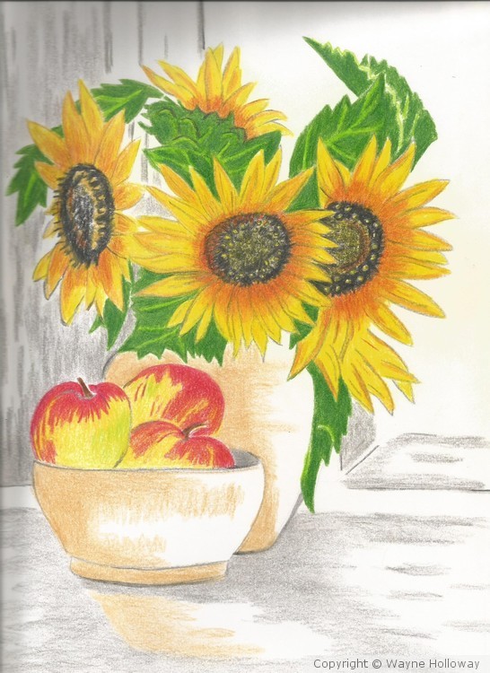 Sunflowers
