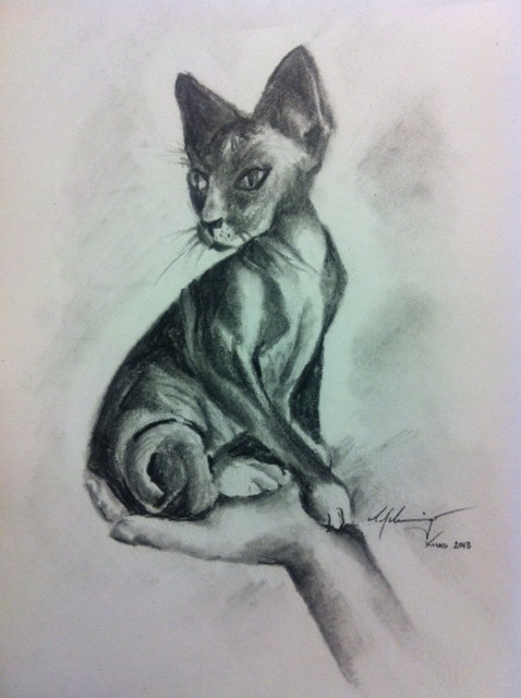 cat