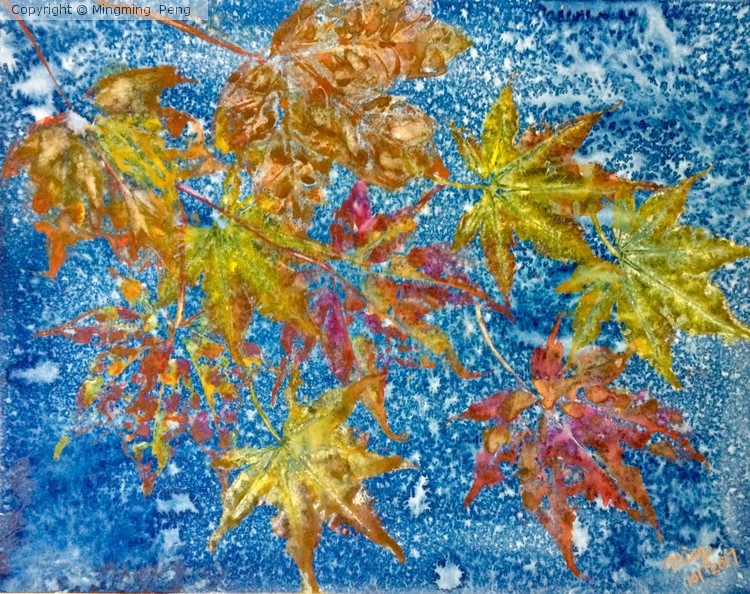 Fall leaves 