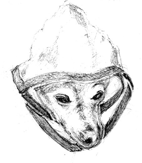 Winky in Rainhat Sketch