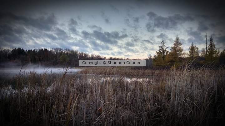Misty morning on Pettibone Lake, Highland, MI