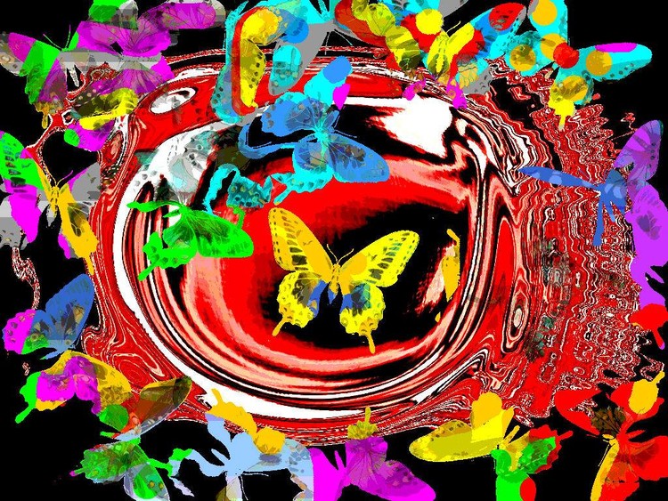10216368597596305
