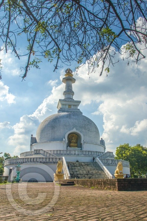 Lord Buddha stupa in greens