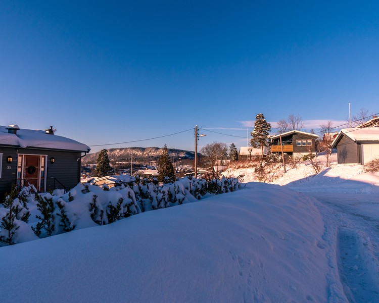 Winter Landscape