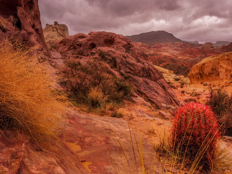Stormy Day at Valley of Fire