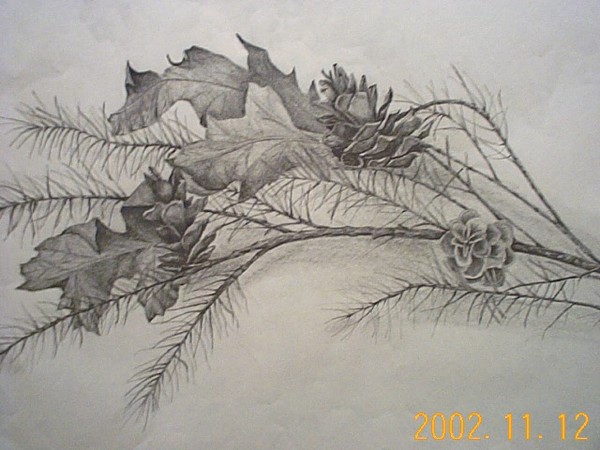 LEAFS