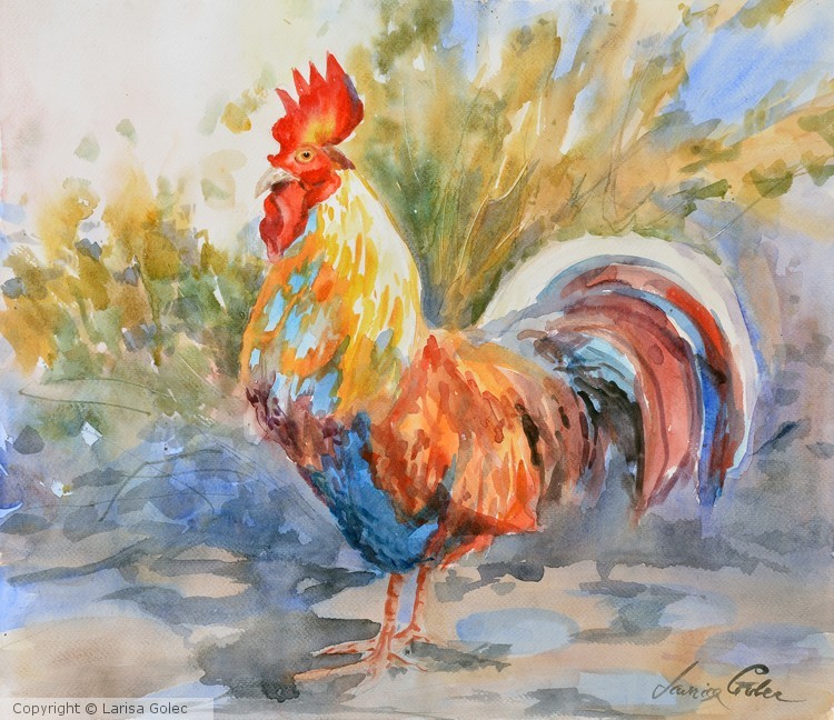 Rooster