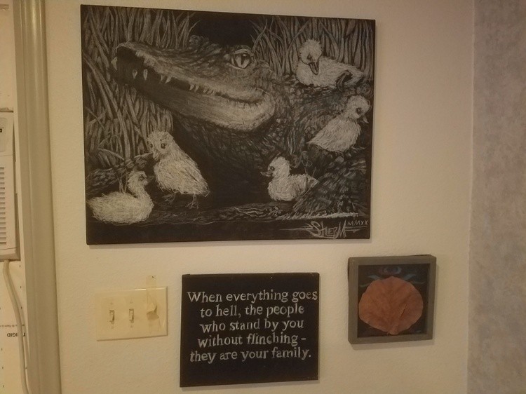Large Patient Gator and the swamp ducklings