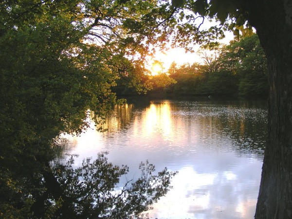 Sunset at the Lake