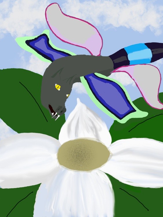 Dragon Fly