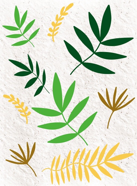 Foliage