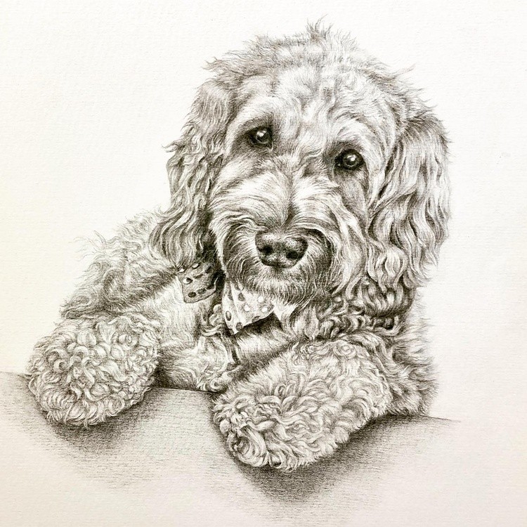 Benji the dog