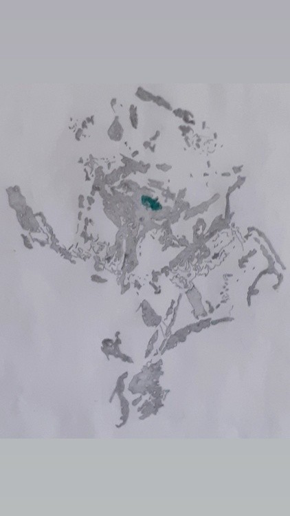 IMG 20210405 085700 712