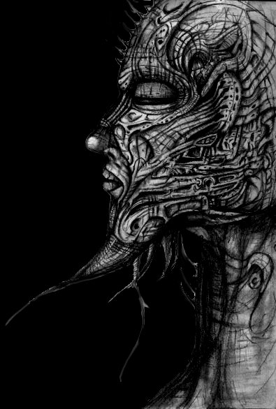 the head 