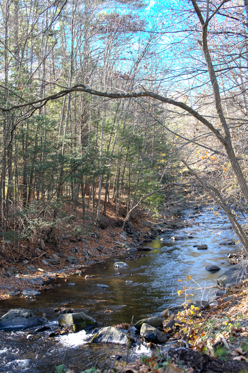 WaterWheel099
