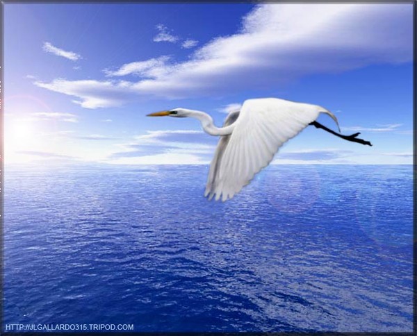 Crane