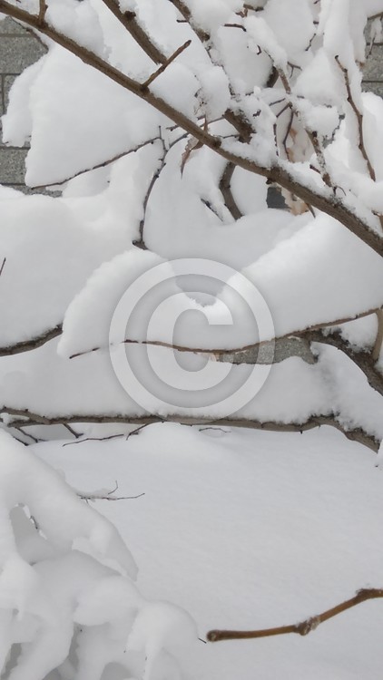 winter storm