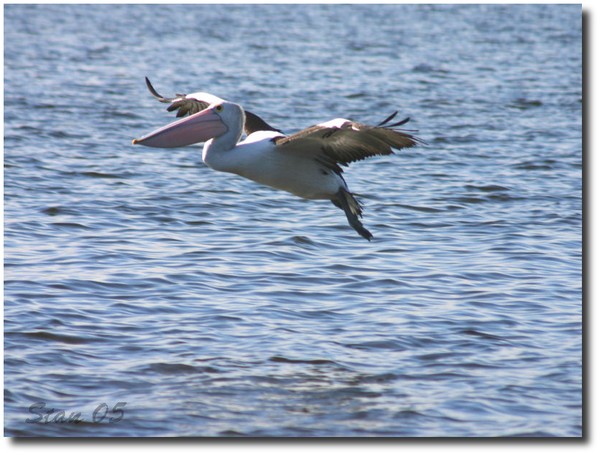 Fly Away