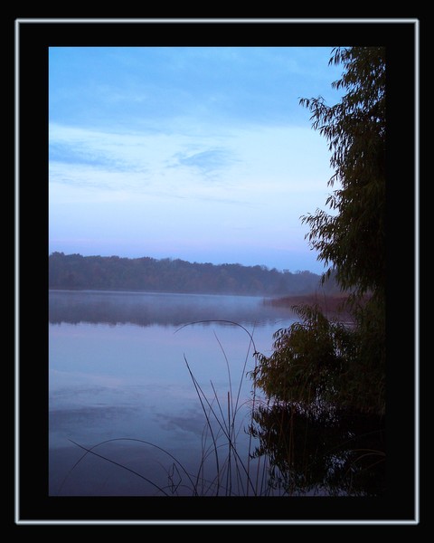 Misty Morning