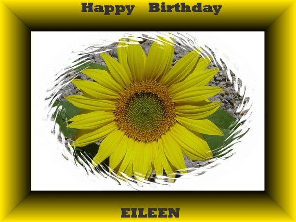 Happy Birthday Eileen