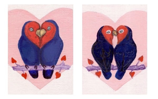 Putting the Love in Lovebird