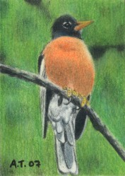 Bird on a Branch - ACEO
