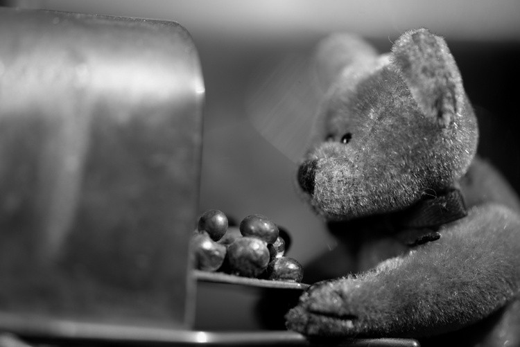 Bear Grills 2