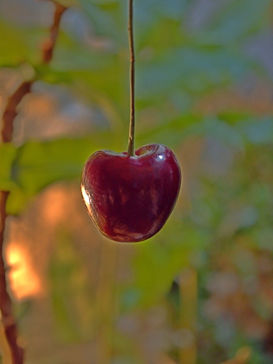 Cherry Red