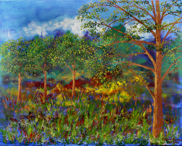 Forest of Dreams