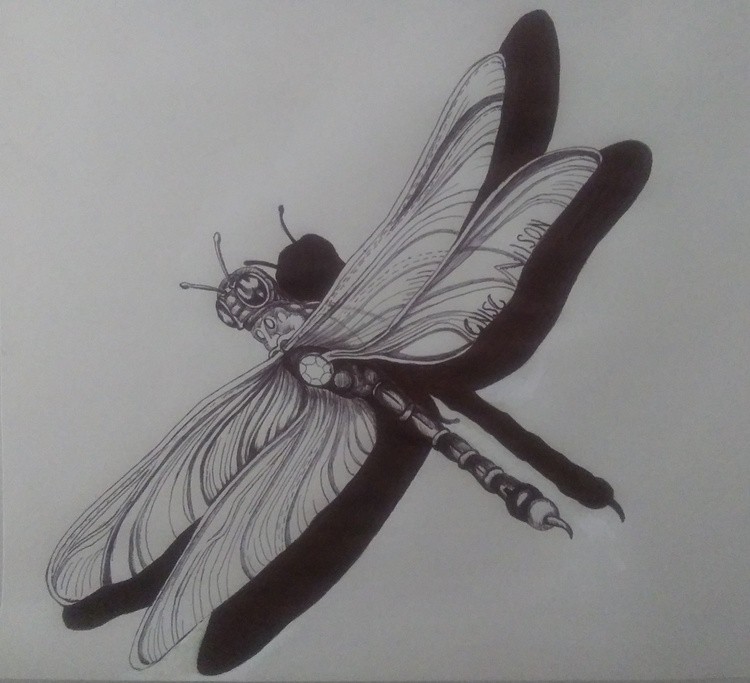 20200803 120015 cynthia's dragonfly
