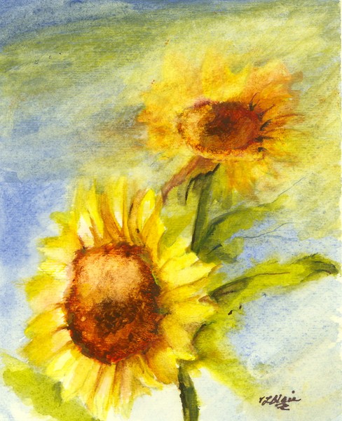 Sunflowers