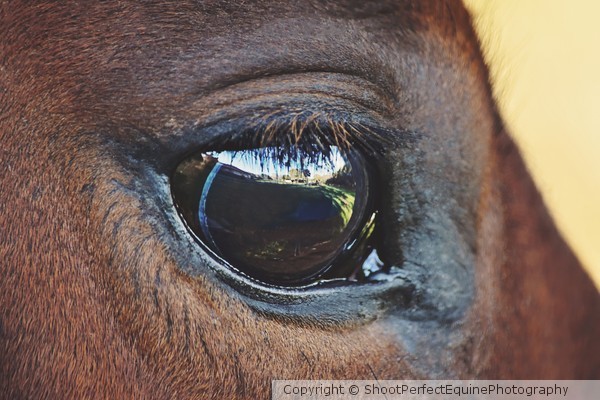 Rains Eye