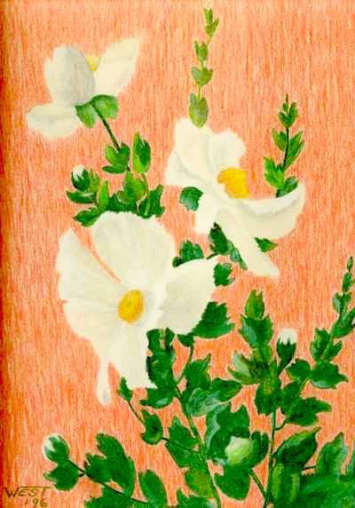 Dancing Flowers