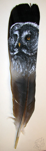 Owl Feather