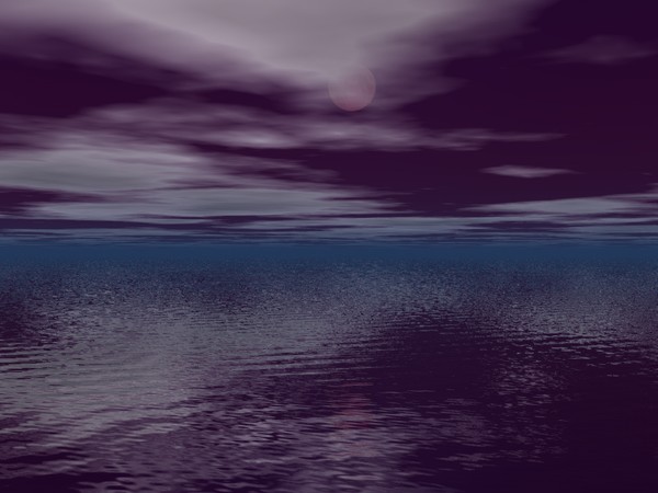 Moonlit Night